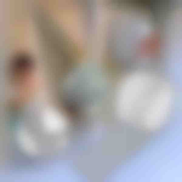 Nastro di riparazione per zanzariere | INSECTAPE