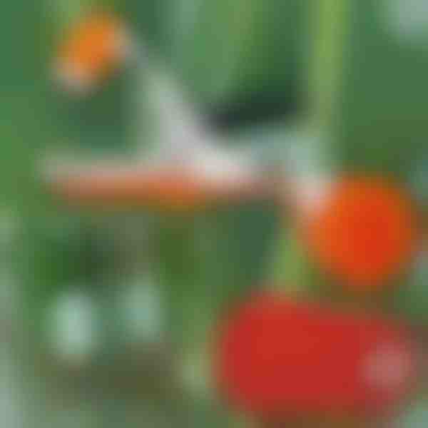 Cucitrice professionale per piante | PLANTBRAND