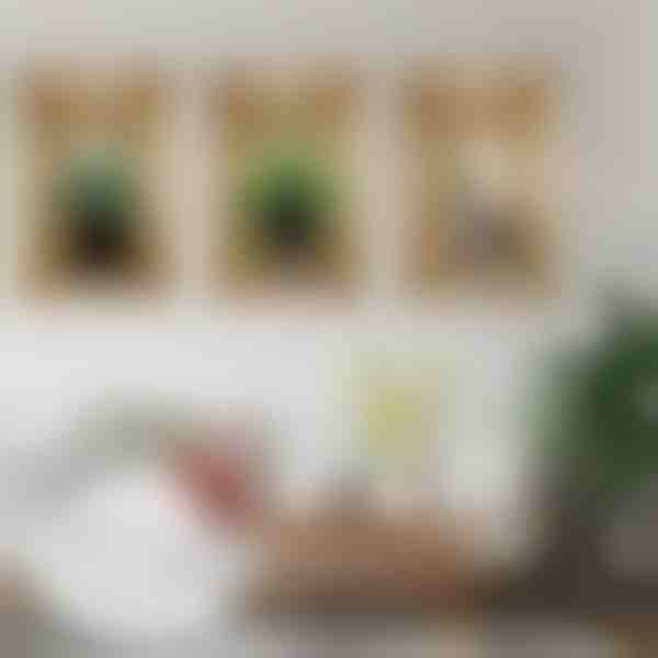 Decorazione adesiva murale 3D (3 pezzi) | VASUART