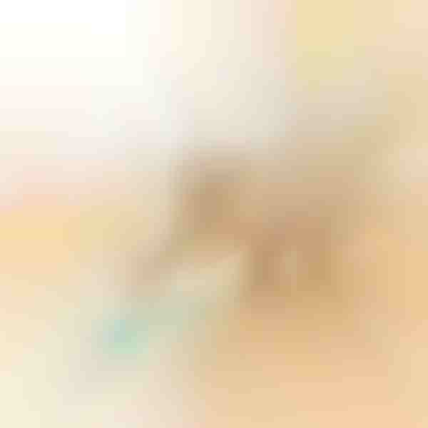 Palla rotante automatica per animali domestici | BALLY