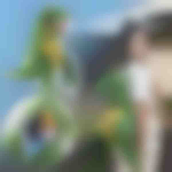 Zaino 3D a forma di dinosauro | DINOBACK