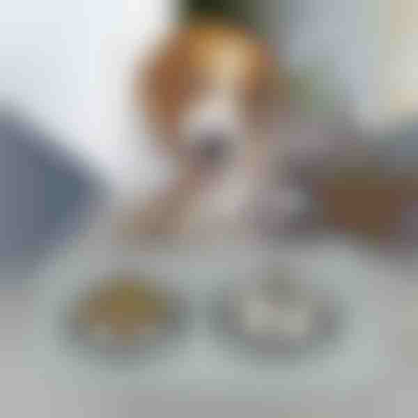 Tappeto per l'alimentazione degli animali domestici | KIBBLEMAT