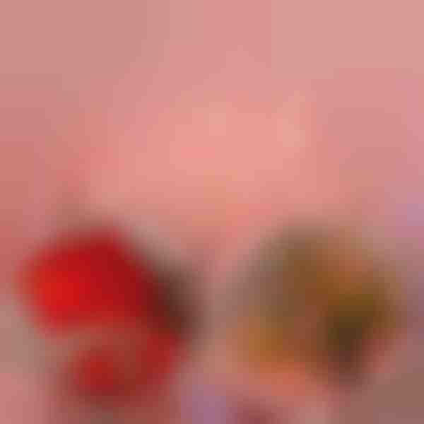 Stringhe di rose a LED (2 m) | LUMEROSE