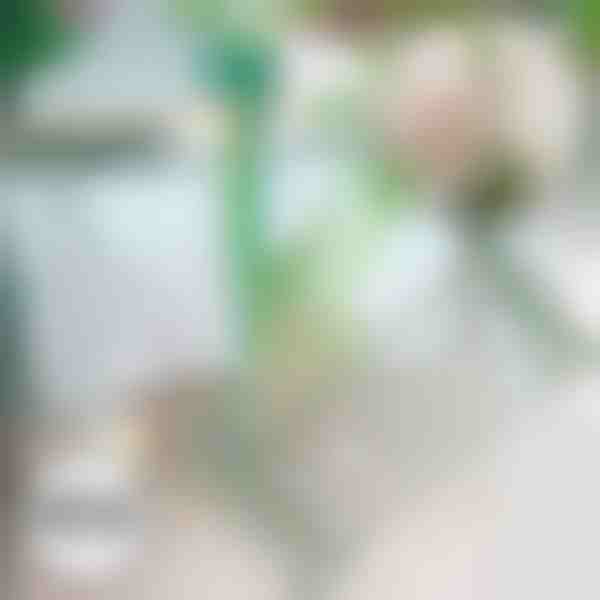 Fermapiante autunnale | ROOTZI