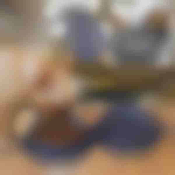 Ciotola per animali domestici pieghevole 2 in 1 per cibo e acqua | WOOFDISH