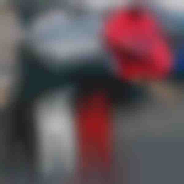 Adesivi Monster Claw per auto (4 pezzi) | SHINECLAW