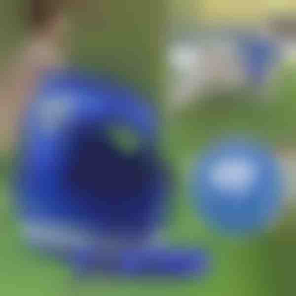 Pettorina e guinzaglio riflettenti regolabili | LEASHNGO