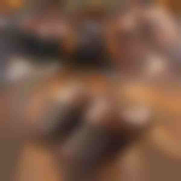 Pantofole termiche in pelle | NOBLEFEET