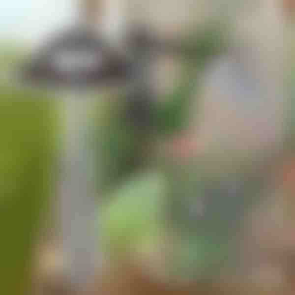 Zappa da giardino per una facile rimozione delle erbacce | GRASSOE