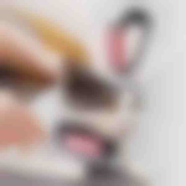 Spazzola per toelettatura 2 in 1 per animali domestici | GATOBRUSH