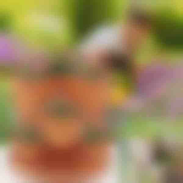 Vasi da fiori impilabili (3x pezzi) | PLANTUP