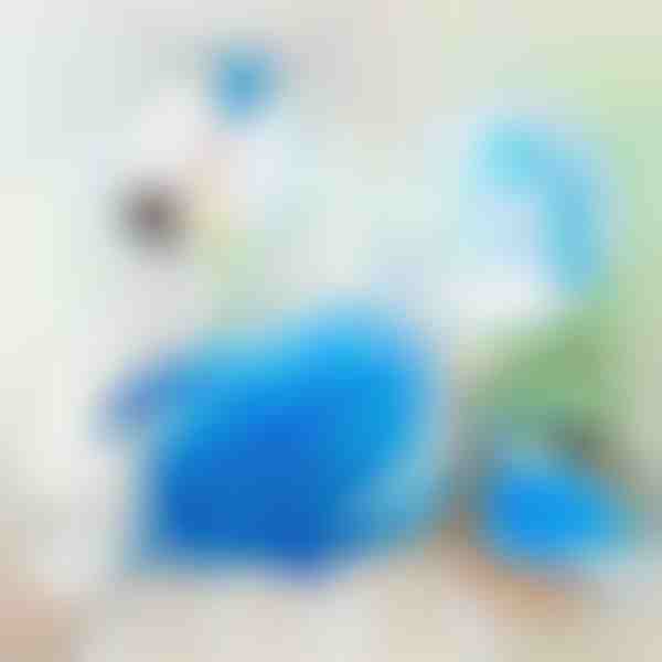 Spazzola elettrica rotante a 360° per la pulizia della polvere | DUSTER