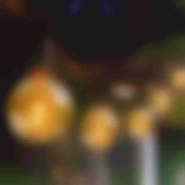 Luci a stringa a globo G40 - 25 lampadine, 7,5 m, espandibile | YARDBULBS