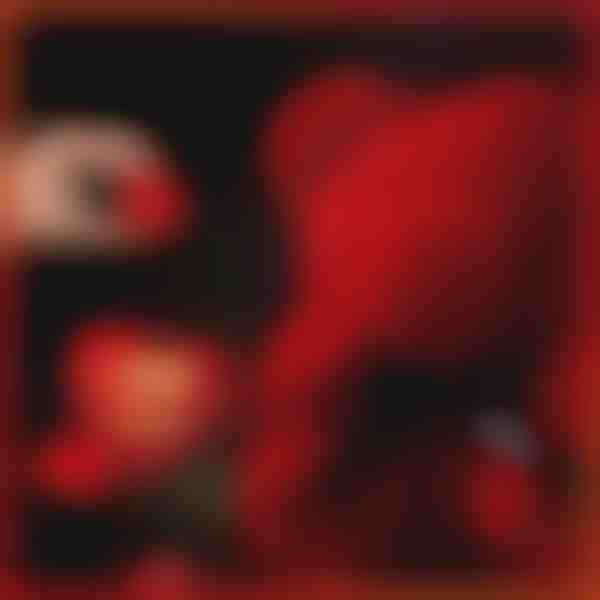 Il regalo che parla d'amore | LOVEBEAR