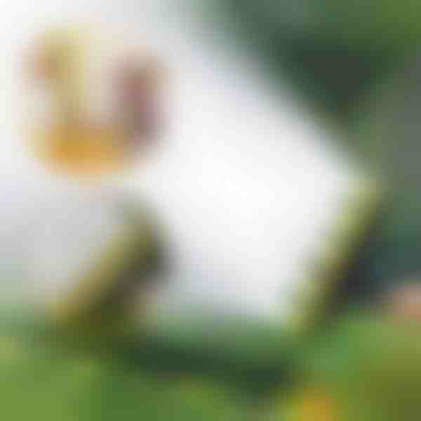 Irrigatore a testa multipla | SPRAYMASTER