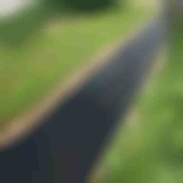 Stuoia di crescita per giardino senza erbacce (0,95x10m) | VEGUARD