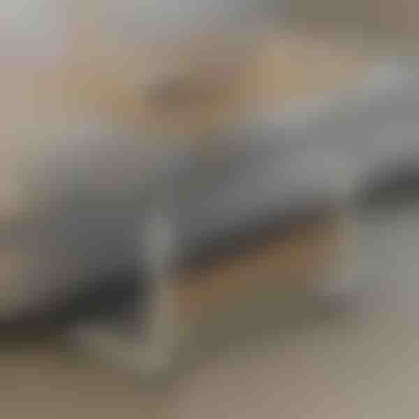 Tavolo portatile | EVOSTUL