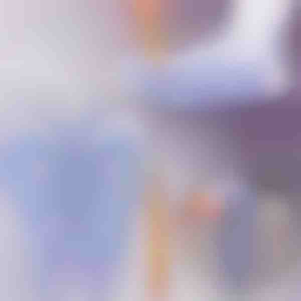 Attiva i punti salute – calzini per riflessologia per massaggio quotidiano | FEETRA