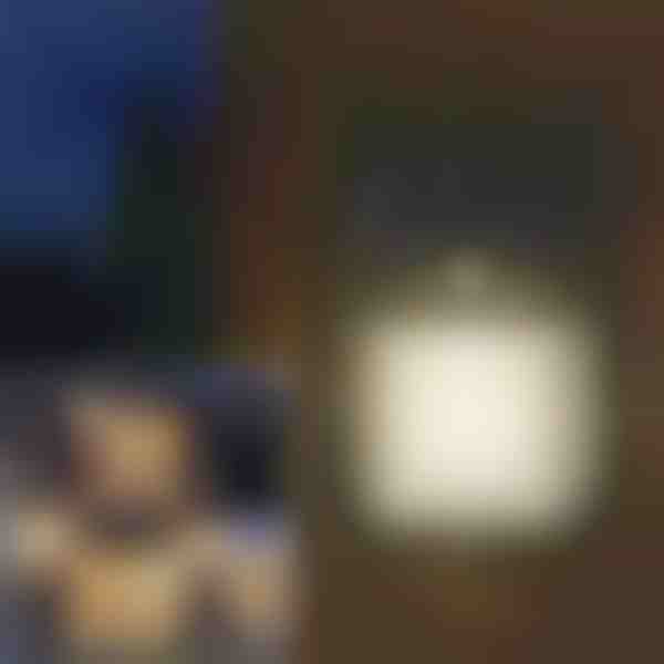 Luce solare con sensori di movimento per esterni | FLUXLAMP