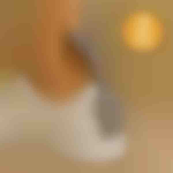 Ausilio per calzare senza piegarsi | SHOEVA