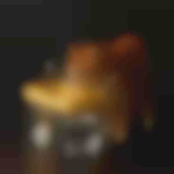 Fontanella per l'idratazione degli animali domestici | PETSPRINGLE