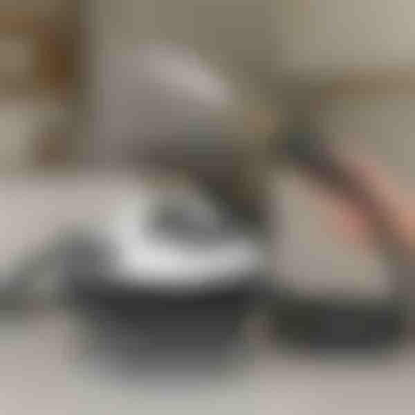 Pulitore a vapore ad alta pressione | STEAMAX