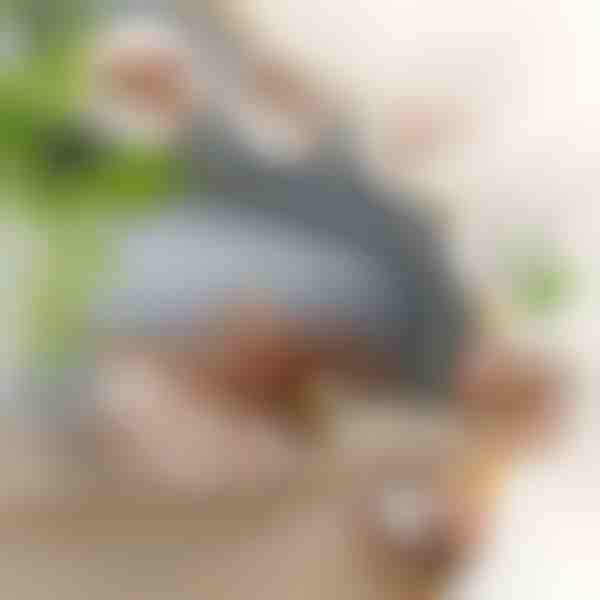 Giocattolo interattivo uccellino svolazzante | CHIRRCAT